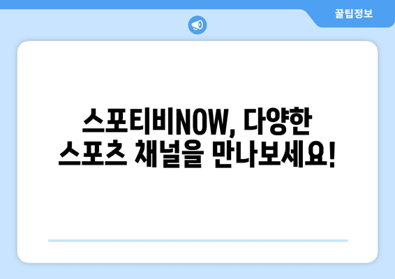 스포티비NOW 가격, 채널 편성표, 해지 방법 안내