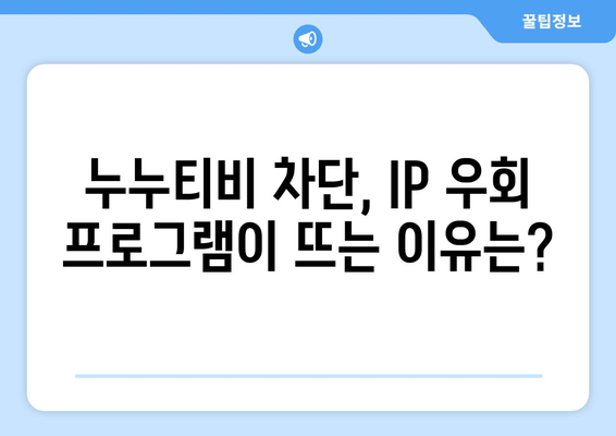 누누티비에 대항하는 IP 우회 프로그램의 등장