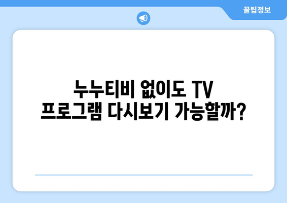 누누티비 대체 사이트: TV 프로그램 다시보기