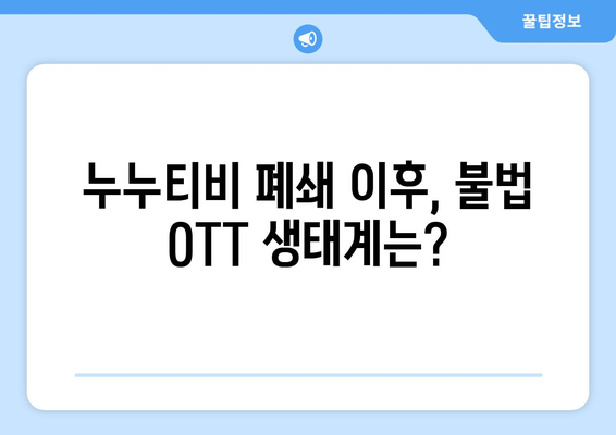 누누티비의 유산: 불법 OTT 산업에 남긴 흔적