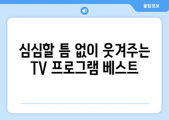 웃기고 재미있는 TV 프로그램