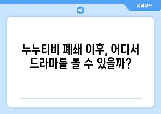 누누티비 대체 사이트 가능성