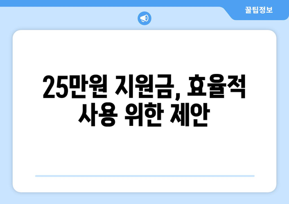 경제 활성화를 위한 25만 원 지원금 분배