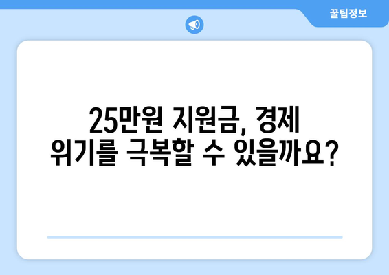 민생 고통 해소를 위한 25만원 지원금: 약속을 행동으로