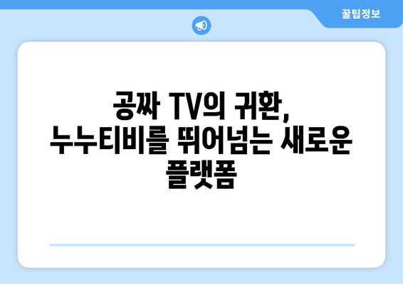 공짜 TV로의 복귀: 누누티비 대체 배후의 영웅