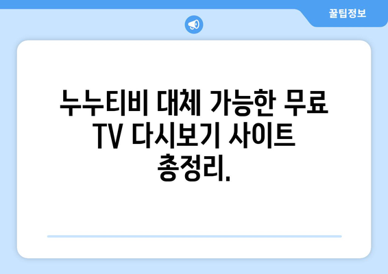 누누티비의 대체 가능한 무료 TV 다시보기 사이트