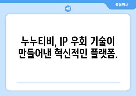 IP 우회 프로그램 유니콘 : 누누티비로 가치 상승