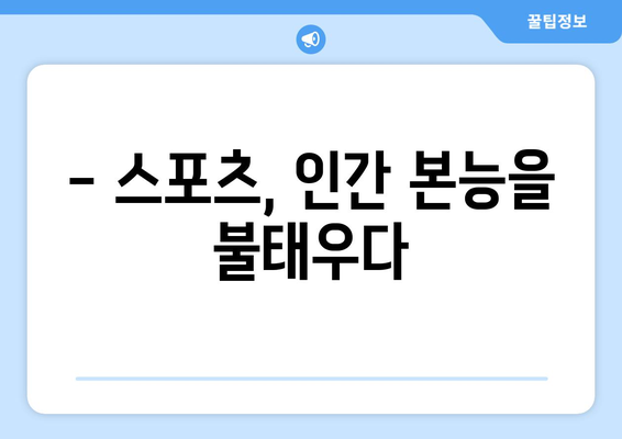 스포츠란 무엇인가?