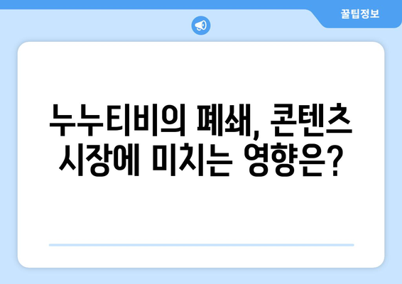 누누티비의 유산: 불법 스트리밍의 미래에 대한 영향