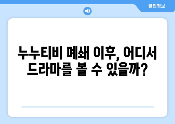 누누티비 폐쇄 이유와 대체 사이트