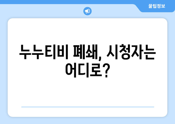 누누티비: 무엇이고 대체 채널이 없다