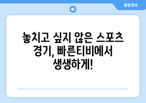 빠른티비: 모든 스포츠를 한곳에