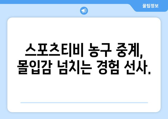 스포츠티비가 선물하는 농구 경기: 몰입적인 시청 경험