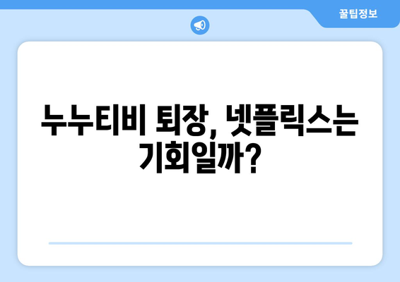 누누티비 퇴장: 넷플릭스 대안으로서의 의미