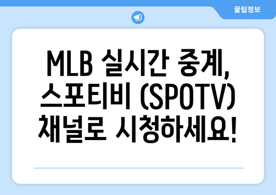 MLB 중계 방법과 스포티비 (SPOTV) 가격