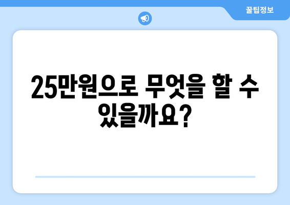 25만원 지원금 지급에 따른 경제적 고려사항