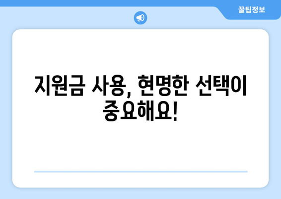 25만원 지원금 지급에 따른 경제적 고려사항