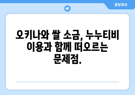 일본 오키나와 쌀 소금 대란과 누누티비