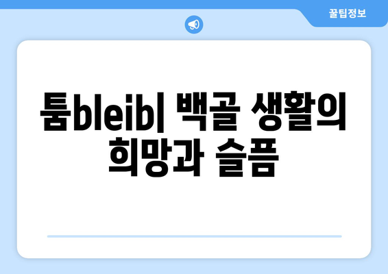 툼bleib, 누누의 백골 생활을 밝히는 다채로운 해골