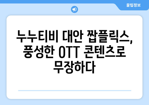 누누티비 대안인 짭플릭스의 OTT 콘텐츠