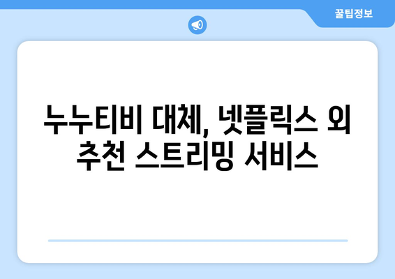 누누티비의 종료: 넷플릭스를 위한 대체책?