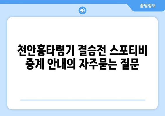 천안흥타령기 결승전 스포티비 중계 안내