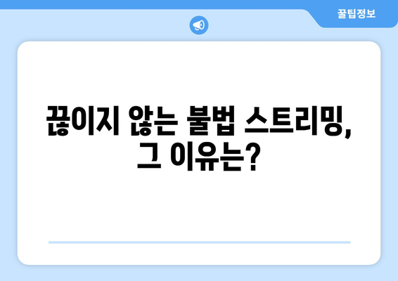 제2의 누누티비 출현: 불법 스트리밍의 근절 가능성에 의문 제기