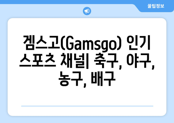 누누티비 대체 겜스고(Gamsgo) 활용법