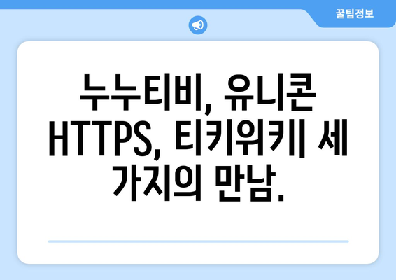 누누티비와 유니콘 HTTPS. 티키위키의 상관관계