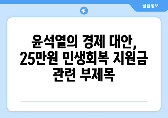 윤석열의 경제 대안, 25만원 민생회복 지원금