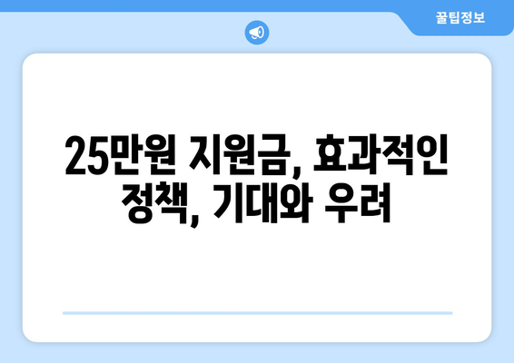 경제 회생의 원동력: 25만원 지원금에 거는 기대