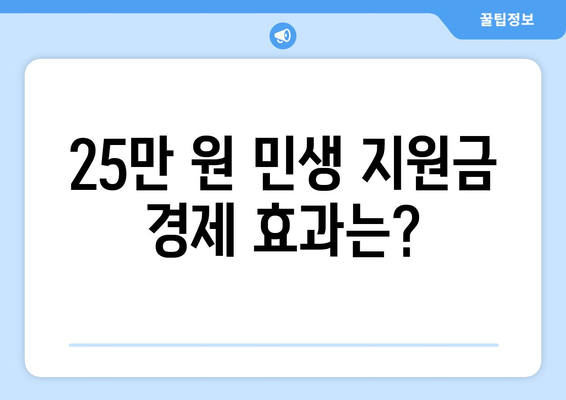 25만 원 민생 지원금: 이재명의 대안적 경제 정책