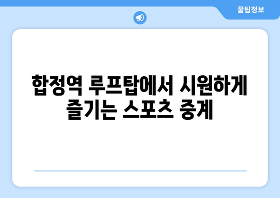 [합정 술집] 제이케이펍에서 합정역 루프탑 대형 TV로 스포츠 중계 시청하기