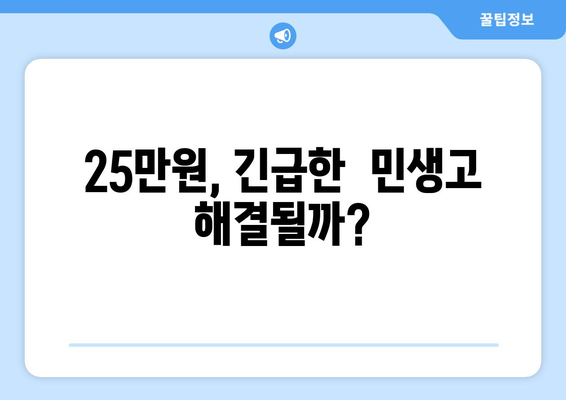 25만원 민생 지원금, 현실적인 대책인가?