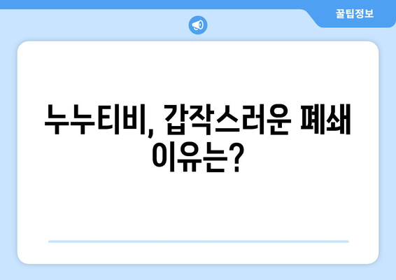 누누티비 종료의 미스터리: 자체 앱까지 포기한 이유