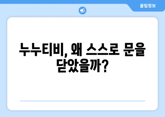 누누티비 종료: 자발적인 폐쇄와 대체 사이트의 출현