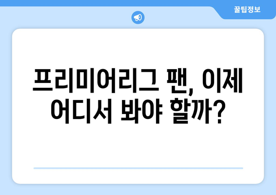 쿠팡플레이의 프리미어리그 중계권 획득: 스포티비와의 비교