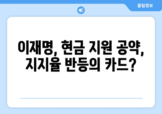 이재명의 25만원 지원금: 차기 대권후보 지지율에 미치는 영향