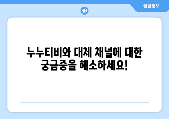 누누티비의 정체와 대체 채널 없음