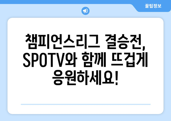 챔피언스리그 결승전 개최: SPOTV 이벤트