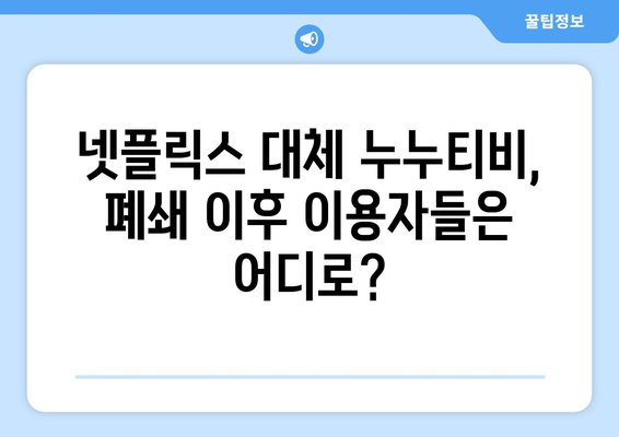 넷플릭스 대체? 누누티비 불법 스트리밍 사이트 서비스 종료