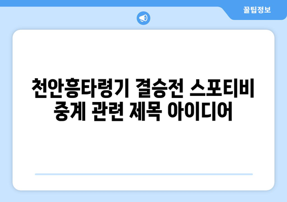 천안흥타령기 결승전 스포티비 중계