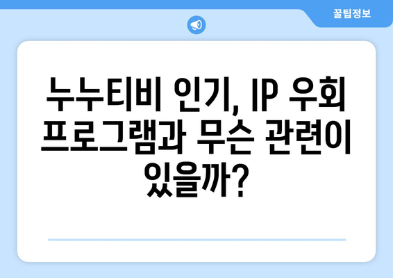 IP 우회 프로그램과 누누티비의 상승