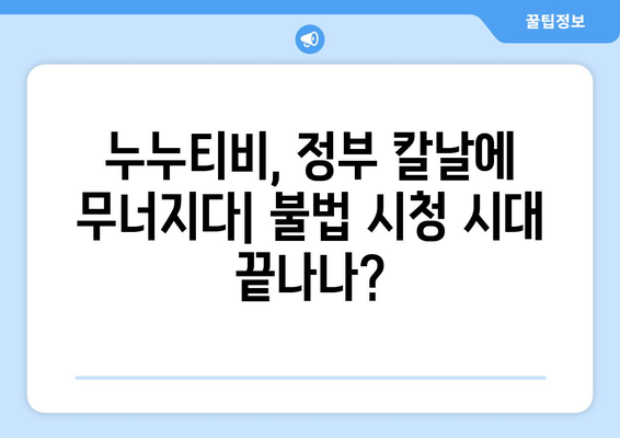 정부 칼 뺀 누누티비 차단: 도둑시청자 처벌 시작