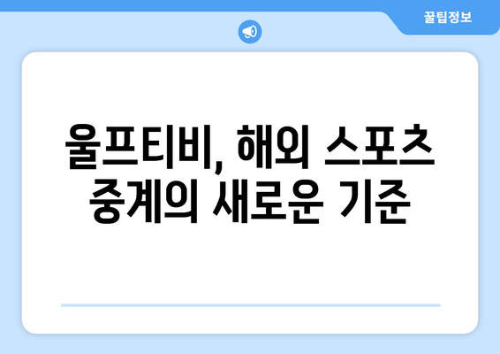 유로2024 중계 및 모바일 중계, 해외 스포츠 중계 볼 곳은 울프티비