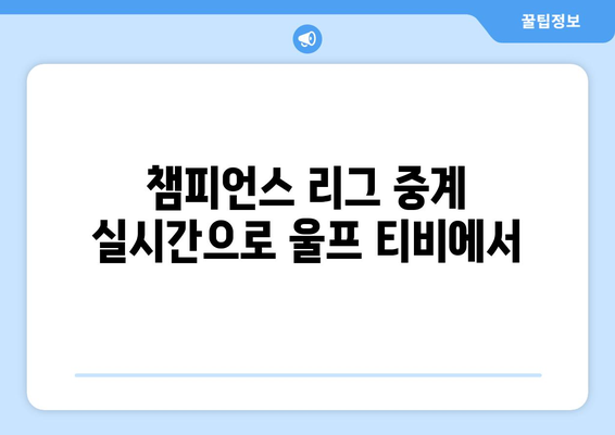 챔피언스 리그 중계 실시간으로 울프 티비에서