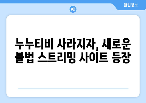 제2의 누누티비 출현: 불법 스트리밍의 근절 가능성에 의문 제기