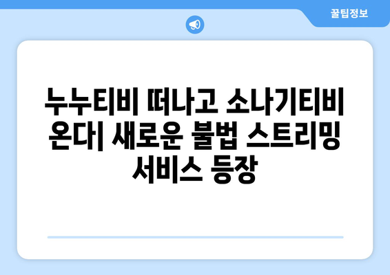 누누티비 서비스 종료 후 소나기티비 등장