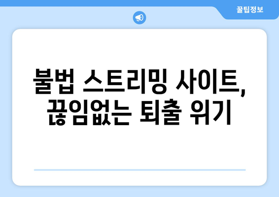 누누티비의 계승자 