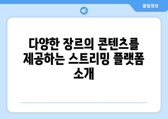 누누티비 대안: 합법적이고 안전한 스트리밍 플랫폼